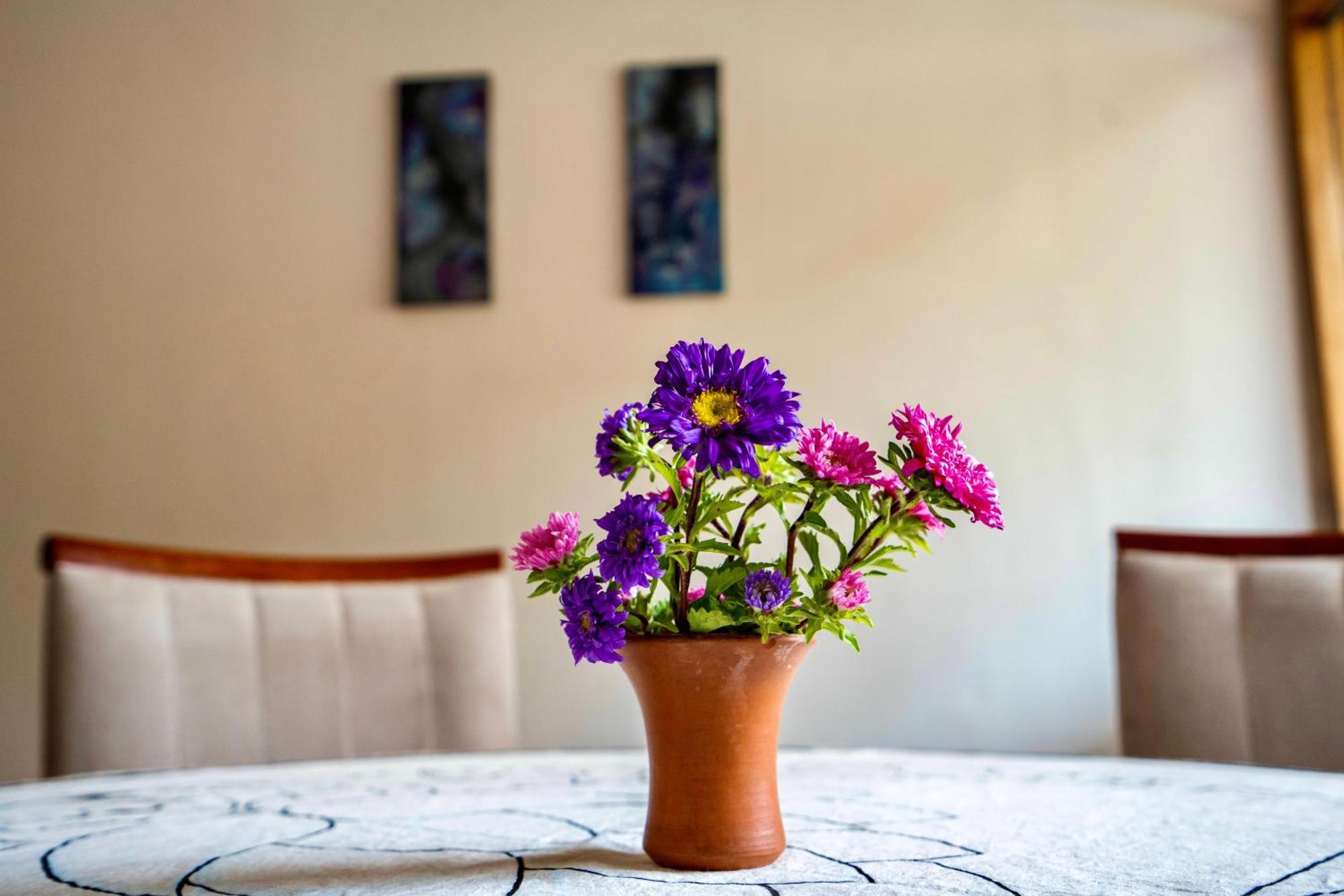 Blue Lotus Retreat Center Bed & Breakfast Писак Екстериор снимка